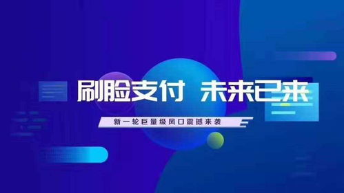 搭建刷臉支付服務(wù)商系統(tǒng) 軟件技術(shù)推廣服務(wù)的全面指南